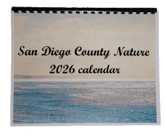 Calendars